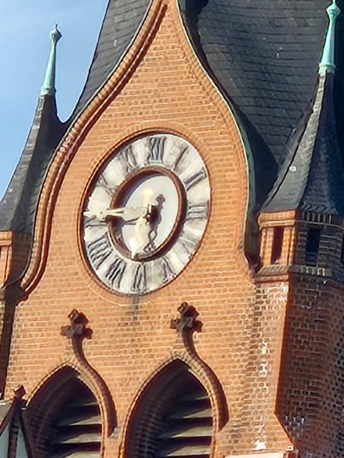 Samsung Galaxy S23+ Beispiel-Foto