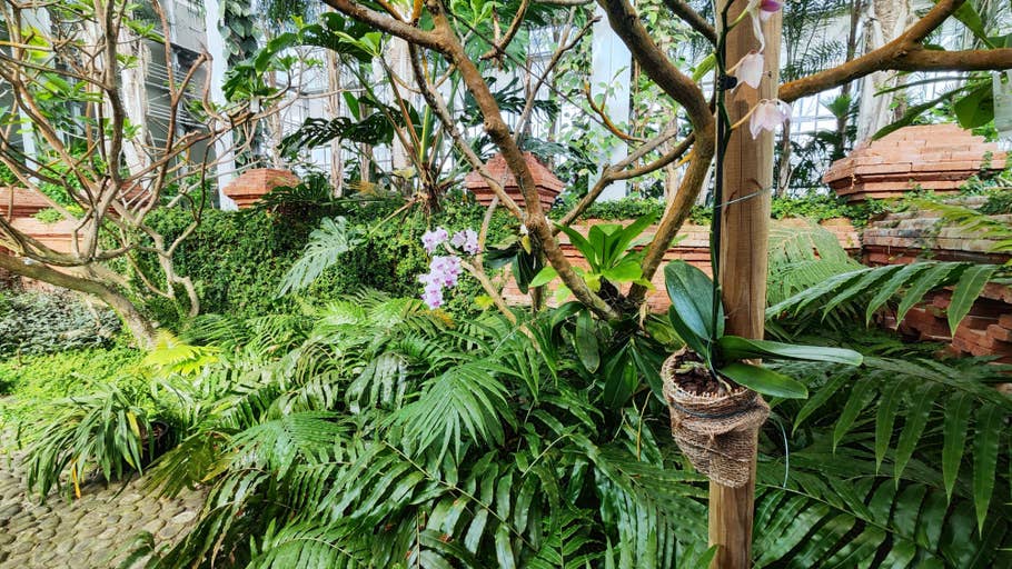 Testfotos des Xiaomi 12 Pro 03