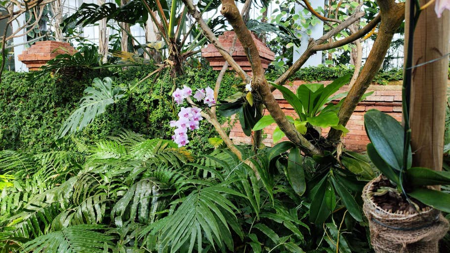 Testfotos des Xiaomi 12 Pro 04