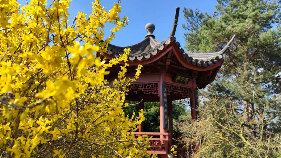 Testfotos des Xiaomi 12 Pro 01