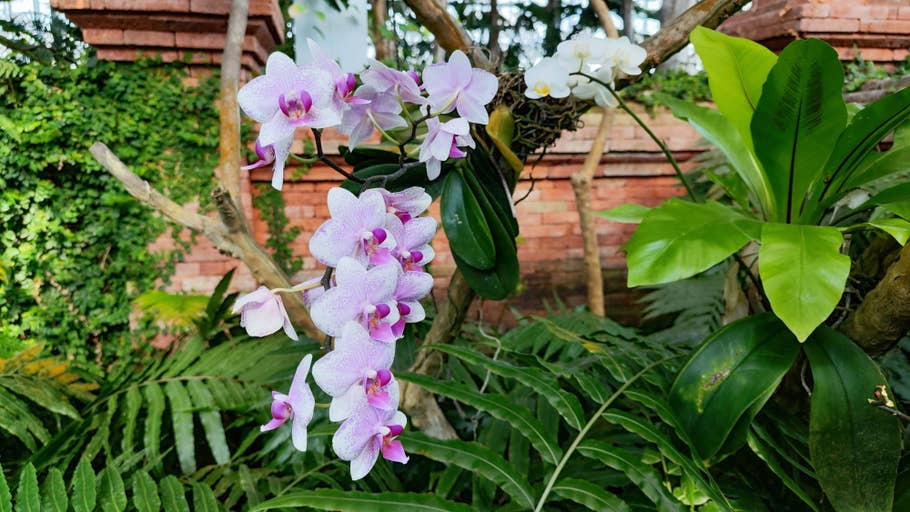 Testfotos des Xiaomi 12 Pro 06