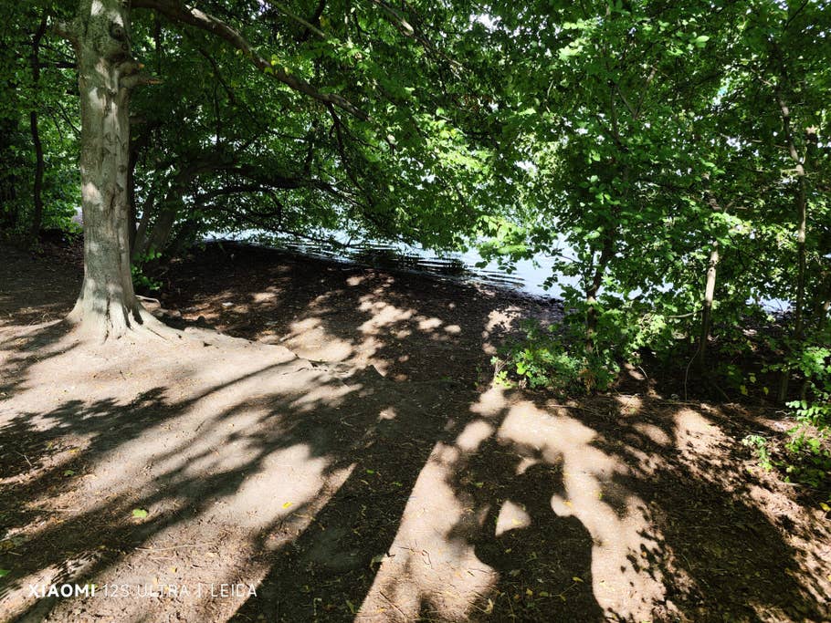 Test-Foto mit dem Xiaomi 12S Ultra