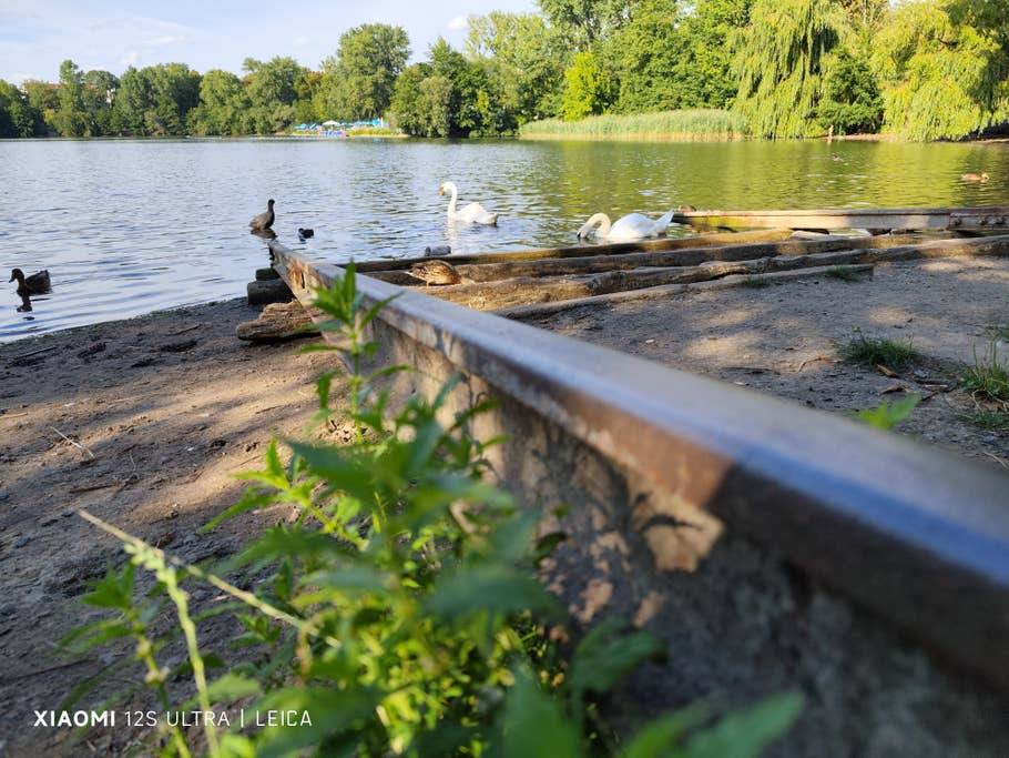 Test-Foto mit dem Xiaomi 12S Ultra