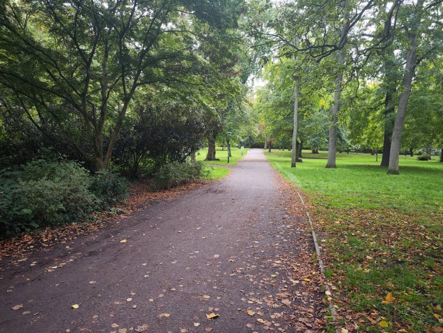 Test-Foto mit dem Xiaomi 12S Ultra