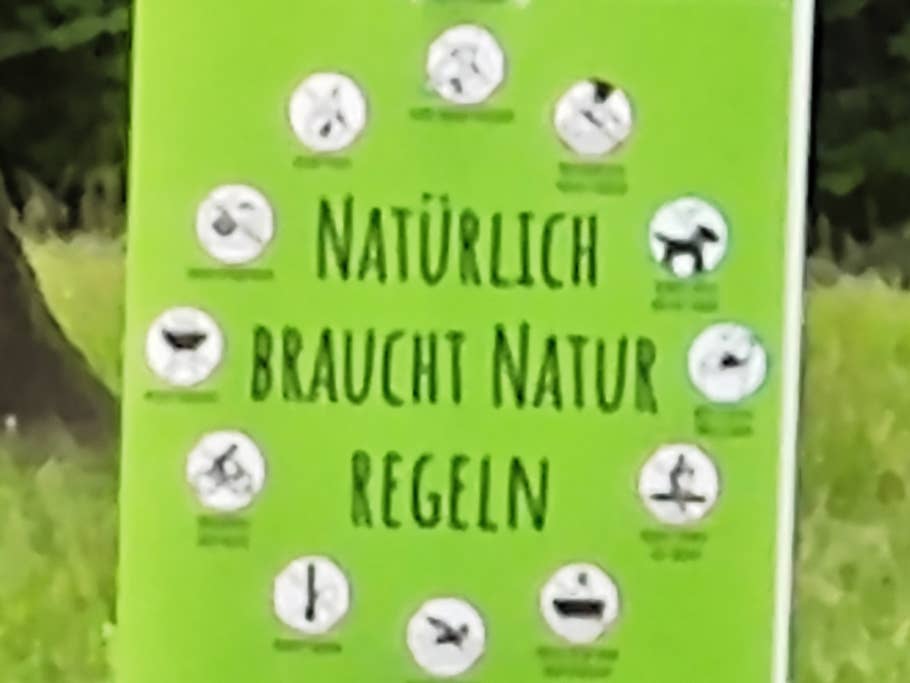 Test-Foto mit dem Xiaomi 12S Ultra