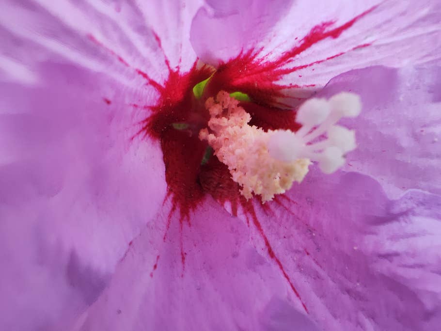 Test-Foto mit dem Xiaomi 12S Ultra