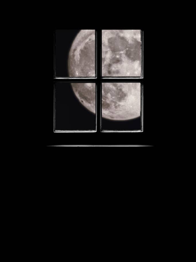 Test-Foto mit dem Xiaomi 12S Ultra