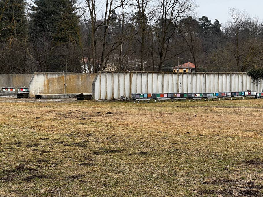 Apple iPhone 13 Pro Max review, camera test