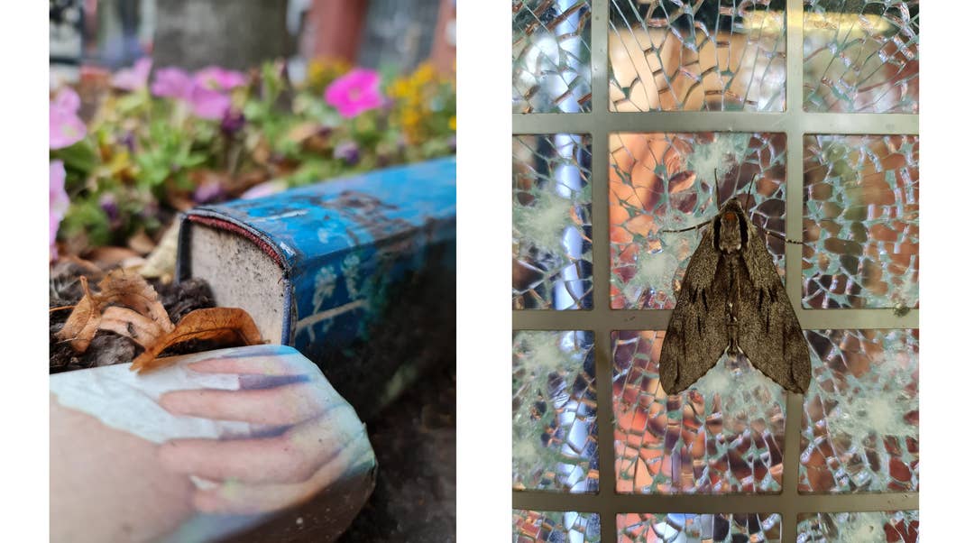 Nextpit samsung galaxy note 20 ultra 5g sample bokeh