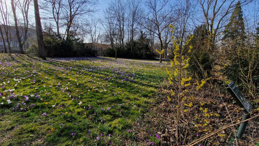 Samsung Galaxy S22 Testbilder 12