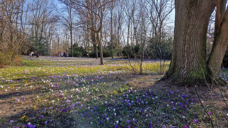 Samsung Galaxy S22 Testbilder 13