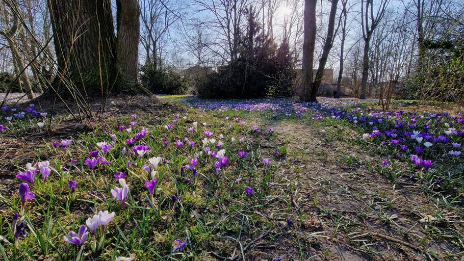 Samsung Galaxy S22 Testbilder 06