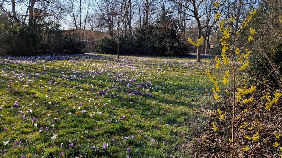 Samsung Galaxy S22 Testbilder 03