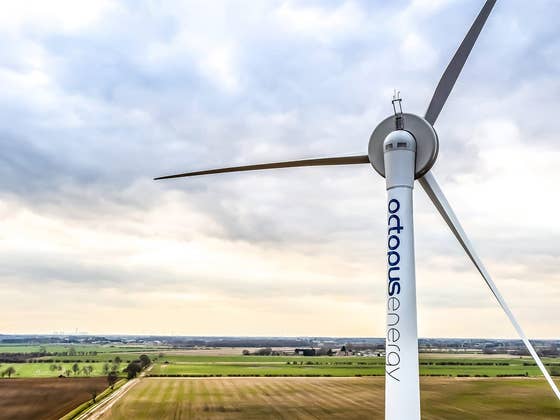 Octopus Energy: Ökostrom mit 100 Euro Bonus!