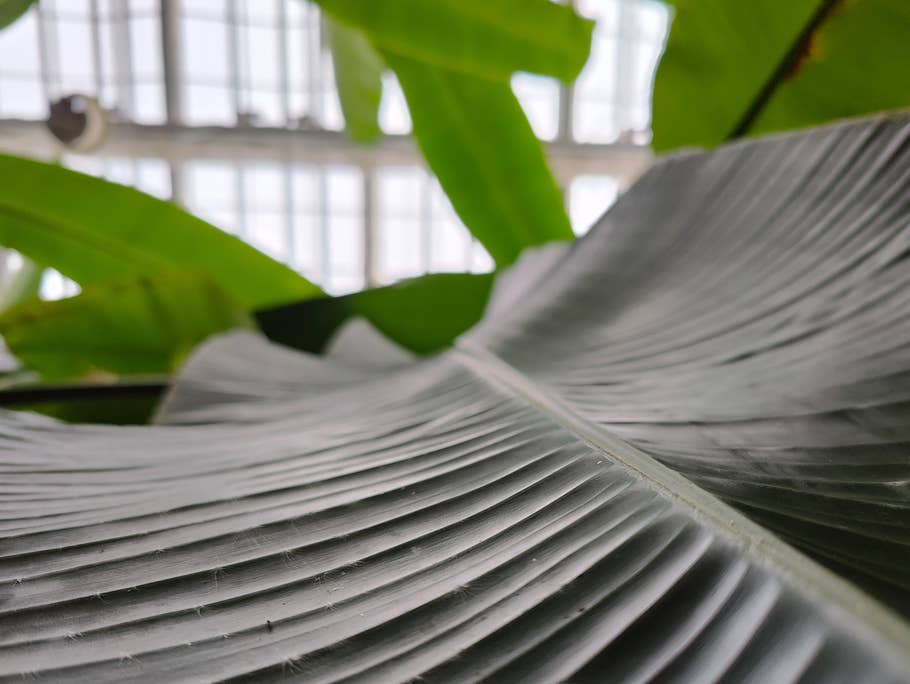 OnePlus-10-Pro-Foto-Tour 03