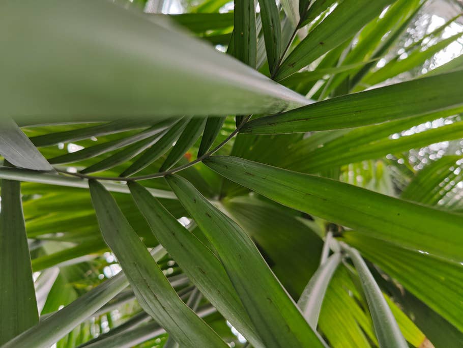 OnePlus-10-Pro-Foto-Tour 05