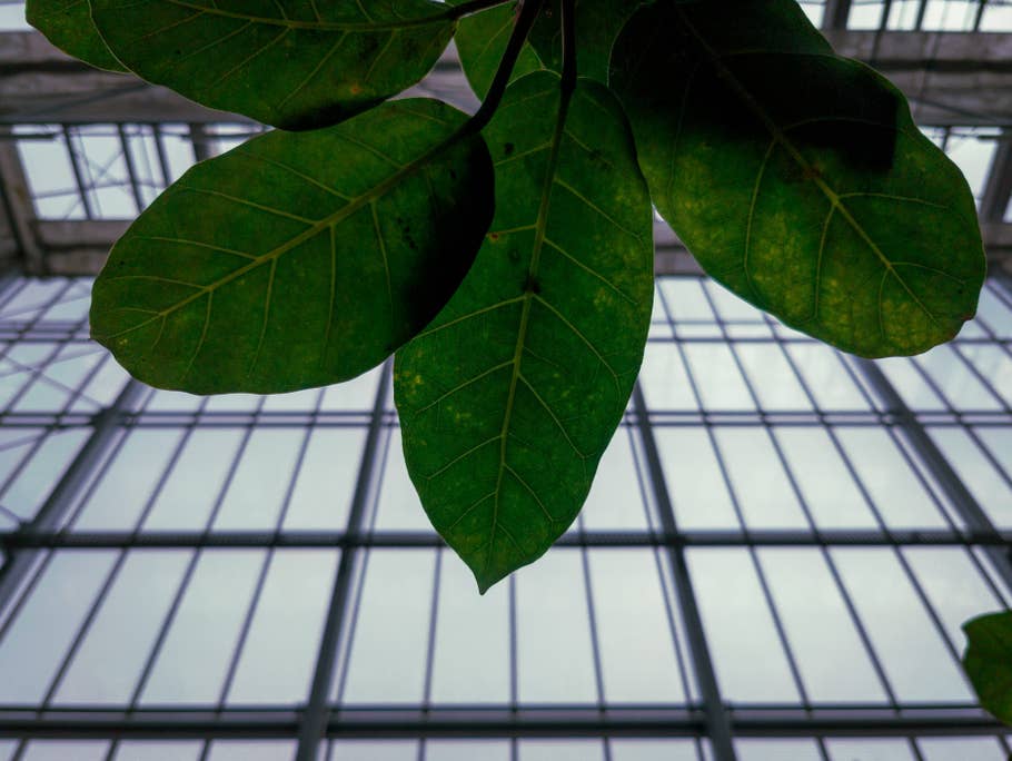 OnePlus-10-Pro-Foto-Tour 06