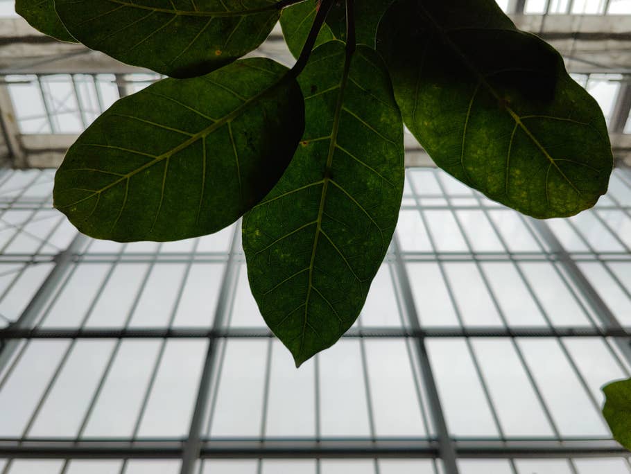 OnePlus-10-Pro-Foto-Tour 07