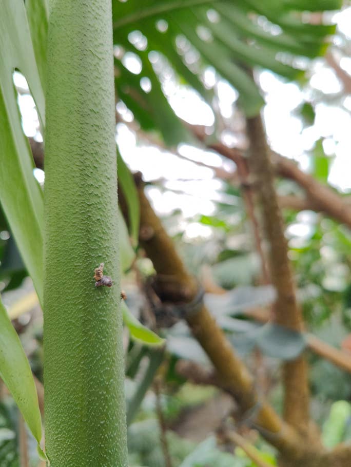 OnePlus-10-Pro-Foto-Tour 09