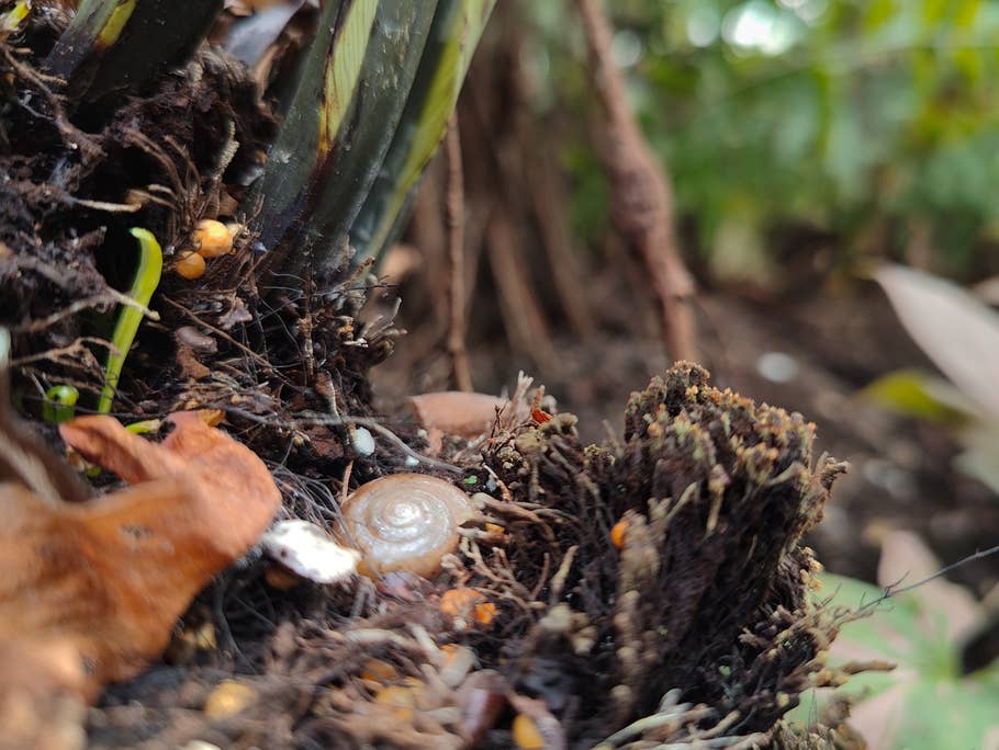 OnePlus-10-Pro-Foto-Tour 12