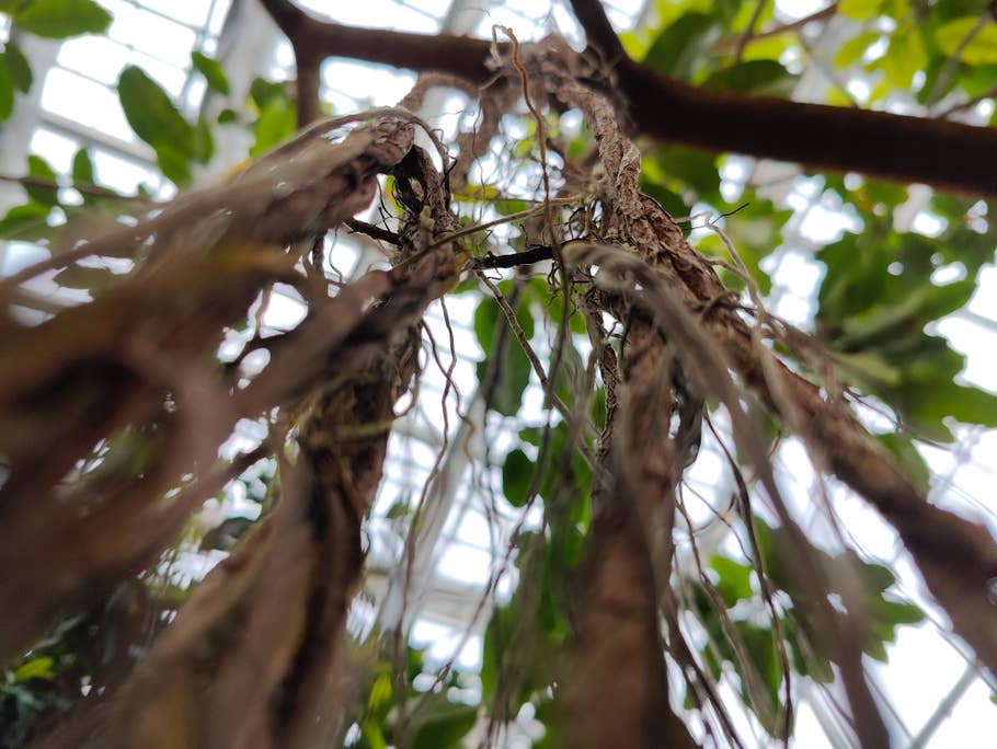 OnePlus-10-Pro-Foto-Tour 04