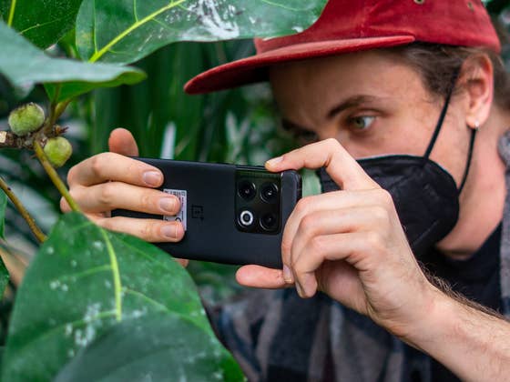 OnePlus 10 Pro auf Foto-Tour: So findet ein Hasselblad-Profi das Handy