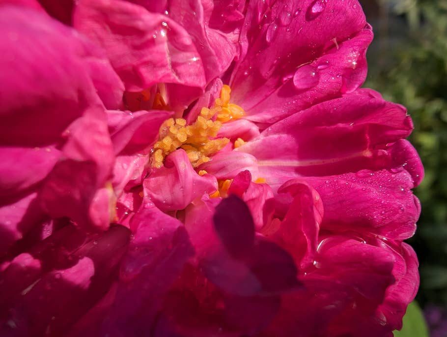 Google Pixel 8 Pro Testfoto