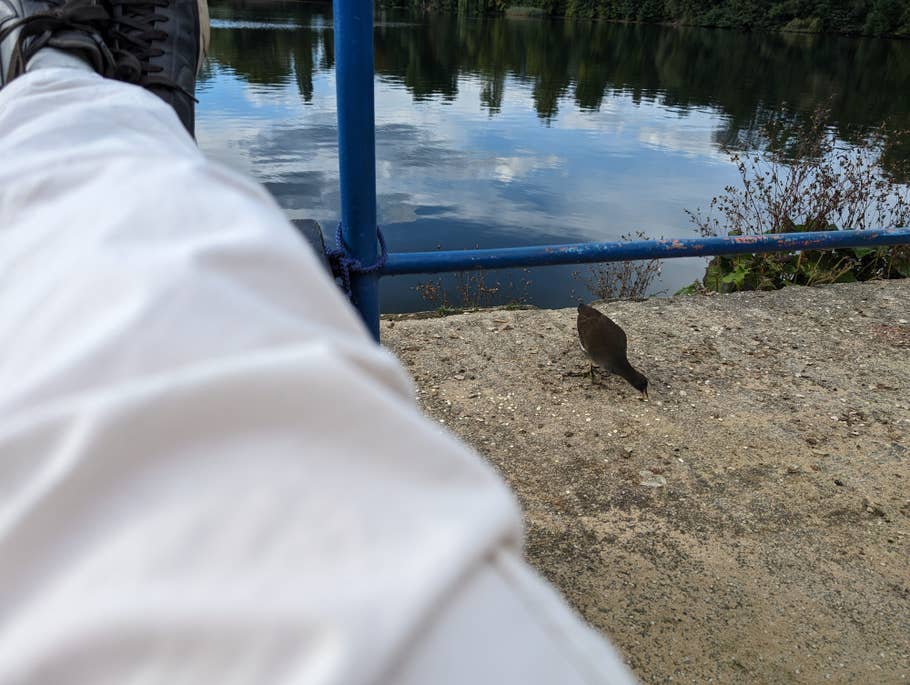 Google Pixel 8 Pro Testfoto