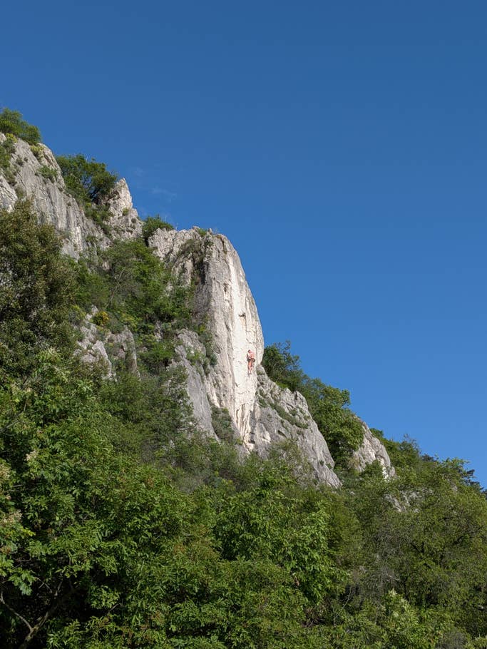 Google Pixel 9a: Hauptkamera (2x Digitalzoom)