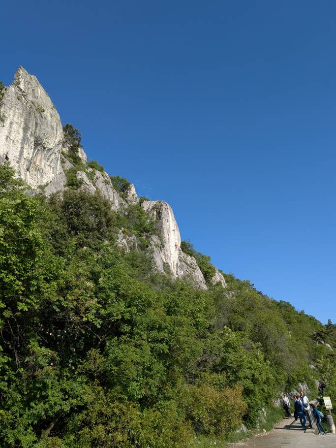 Google Pixel 9a: Hauptkamera