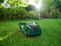 Ein grüner Mähroboter auf einem gepflegten Rasen, umgeben von Blumen.