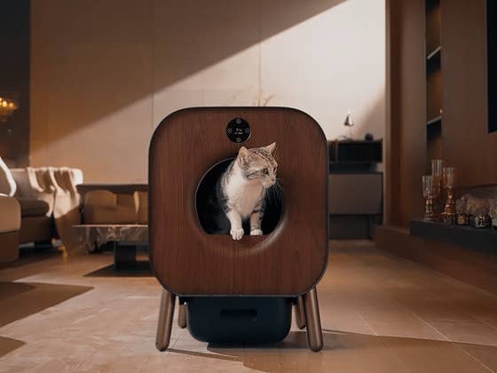 Das smarte Katzenklo: Pawbby P1 Ultra mit Rabatt bei Amazon und Otto