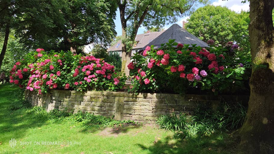 Beispielfoto des REDMAGIC 9S Pro