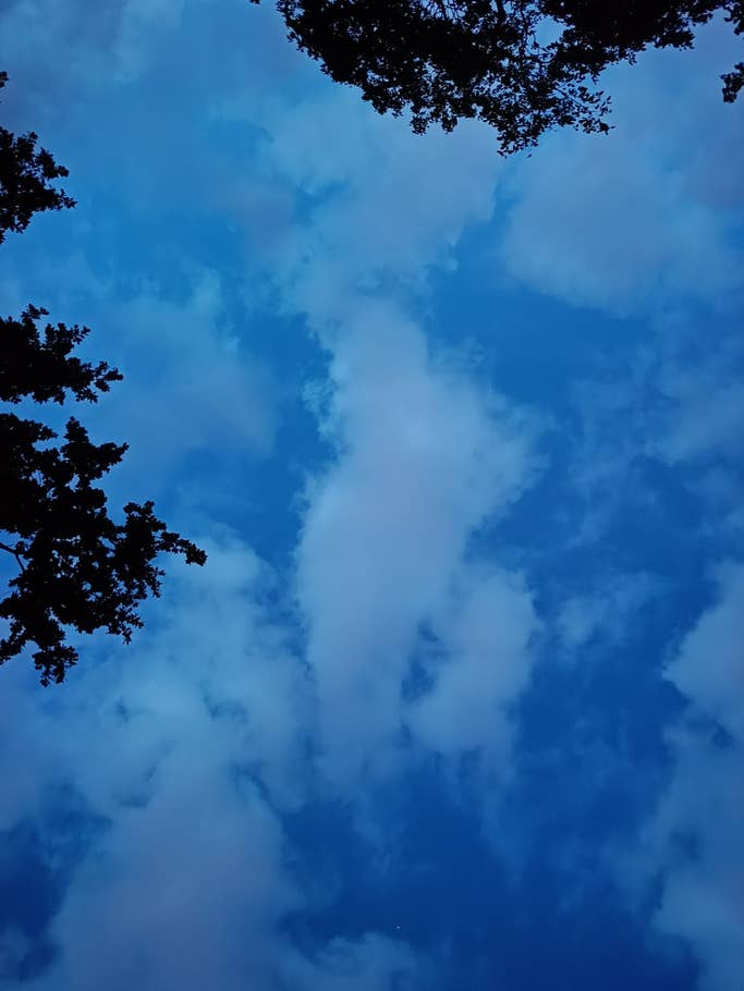 Realme 11 Pro Testfotos 07