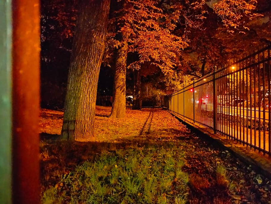 Realme 9 5G test photo 18