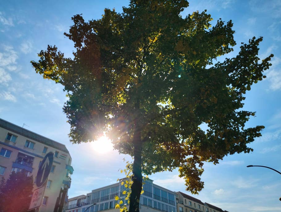 Realme 9 5G test photo 17