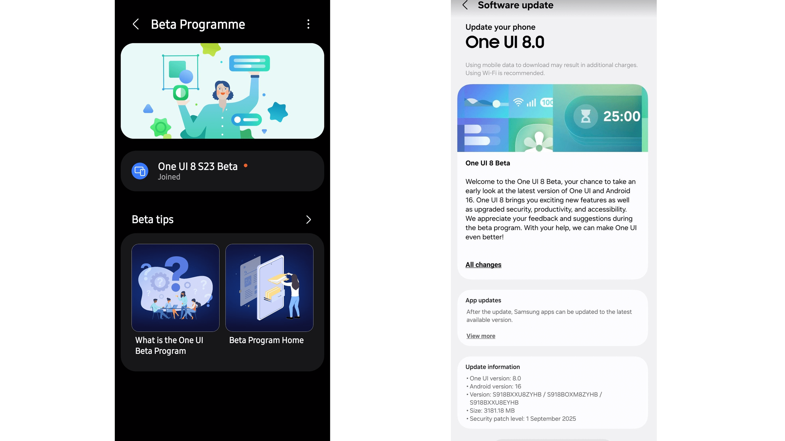 Samsung One UI Beta-Programmoberfläche mit Update-Details und Tipps.