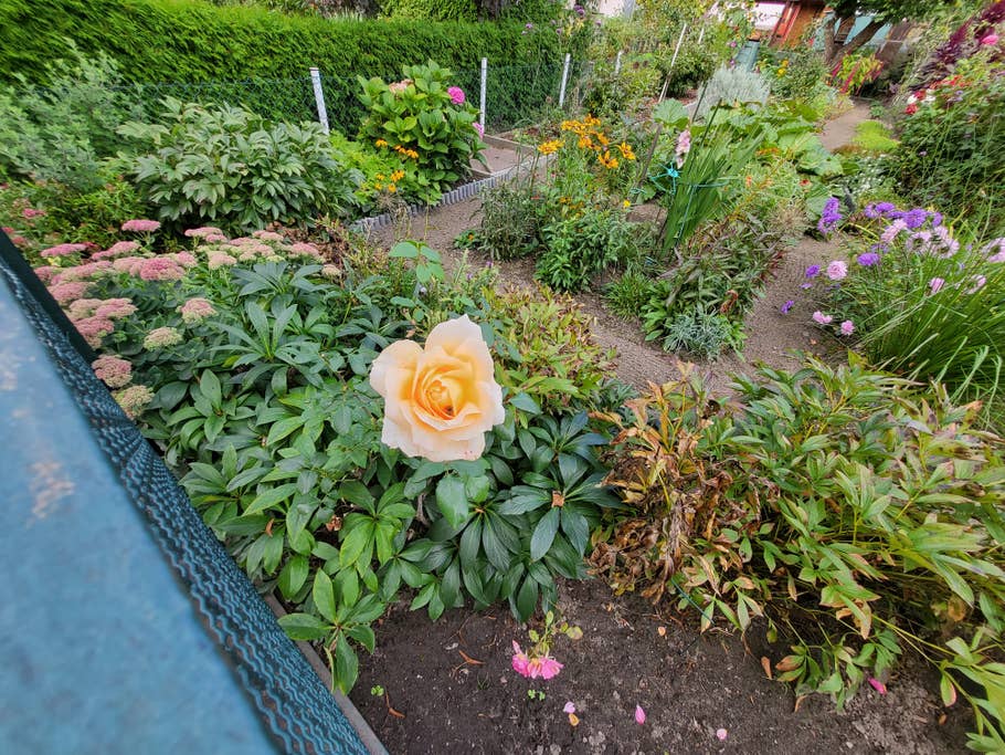 Samsung Galaxy Z Flip 3