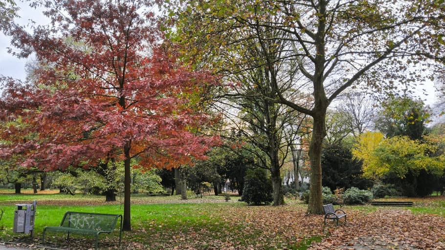 Beispiel-Foto vom Galaxy Tab S10 Ultra