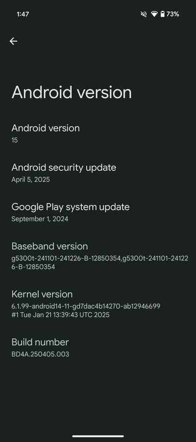 Android-Version-Schnittstelle zeigt Version 15, Updates, Basisband, Kernel und Build-Nummer.