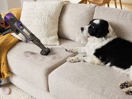 Exklusiver Rabatt: Doppelt sparen beim Shark PowerDetect Akku-Staubsauger!