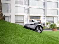 Ein Mähroboter auf einer geneigten Grasfläche neben einem Baum und modernen Gebäuden im Hintergrund.