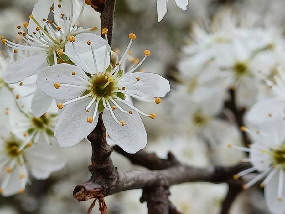 Samsung-Galaxy-A32-5G-4