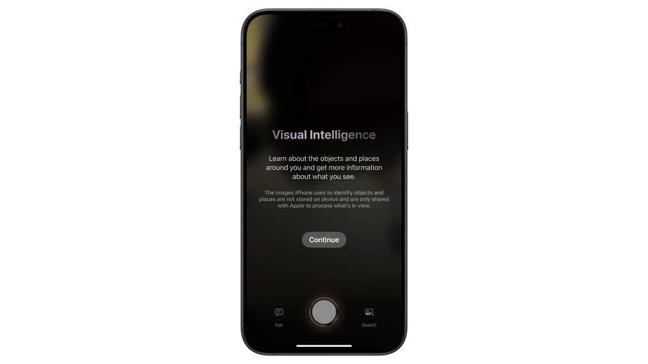 Bildschirm des iPhones zeigt 'Visuelle Intelligenz' mit Text zur Identifizierung von Objekten und Orten.