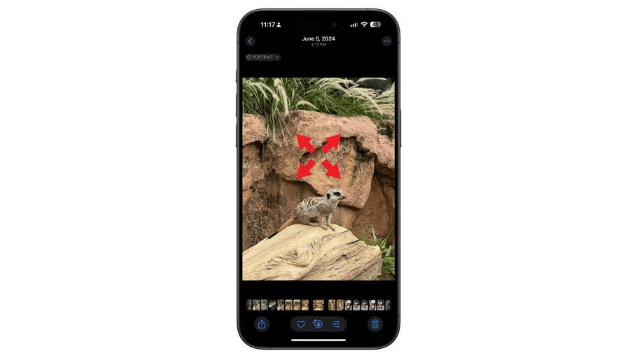 Ein Smartphone zeigt ein Foto eines Erdmännchens auf einem Stein, mit roten Pfeilen, die darauf zeigen.