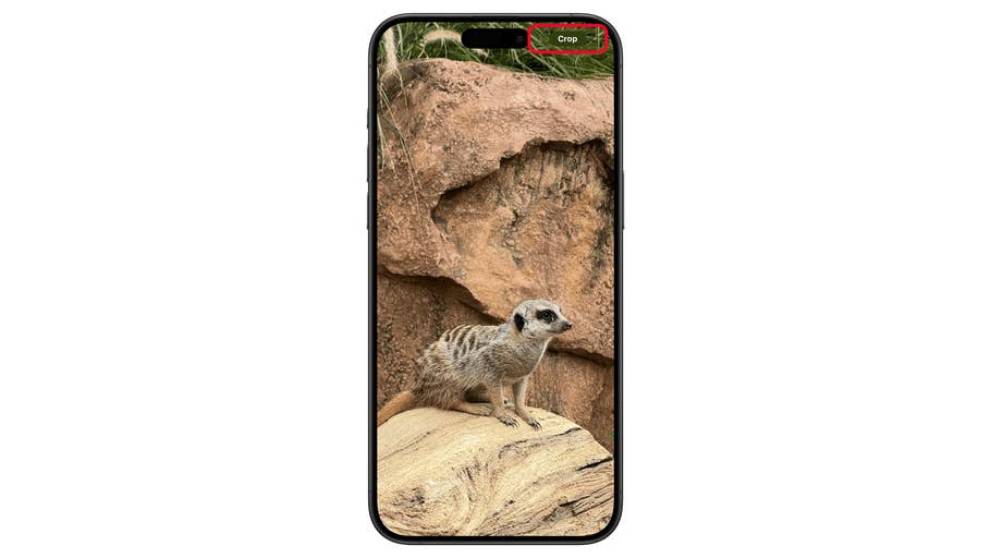 Ein Smartphone zeigt ein Erdmännchen auf einem Stein, mit einer Crop-Option oben.