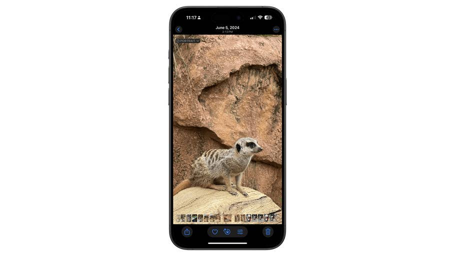 Ein Telefon zeigt ein Foto eines Erdmännchens auf einem Felsen vor einem strukturierten Hintergrund.