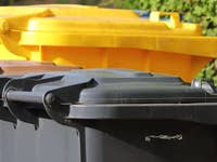 Drei Mülltonnen in verschiedenen Farben: braun, schwarz und gelb, vor einem grünen Hintergrund.