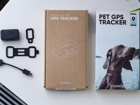 Invoxia Pet Tracker im Test: Der verpeilte Peilsender