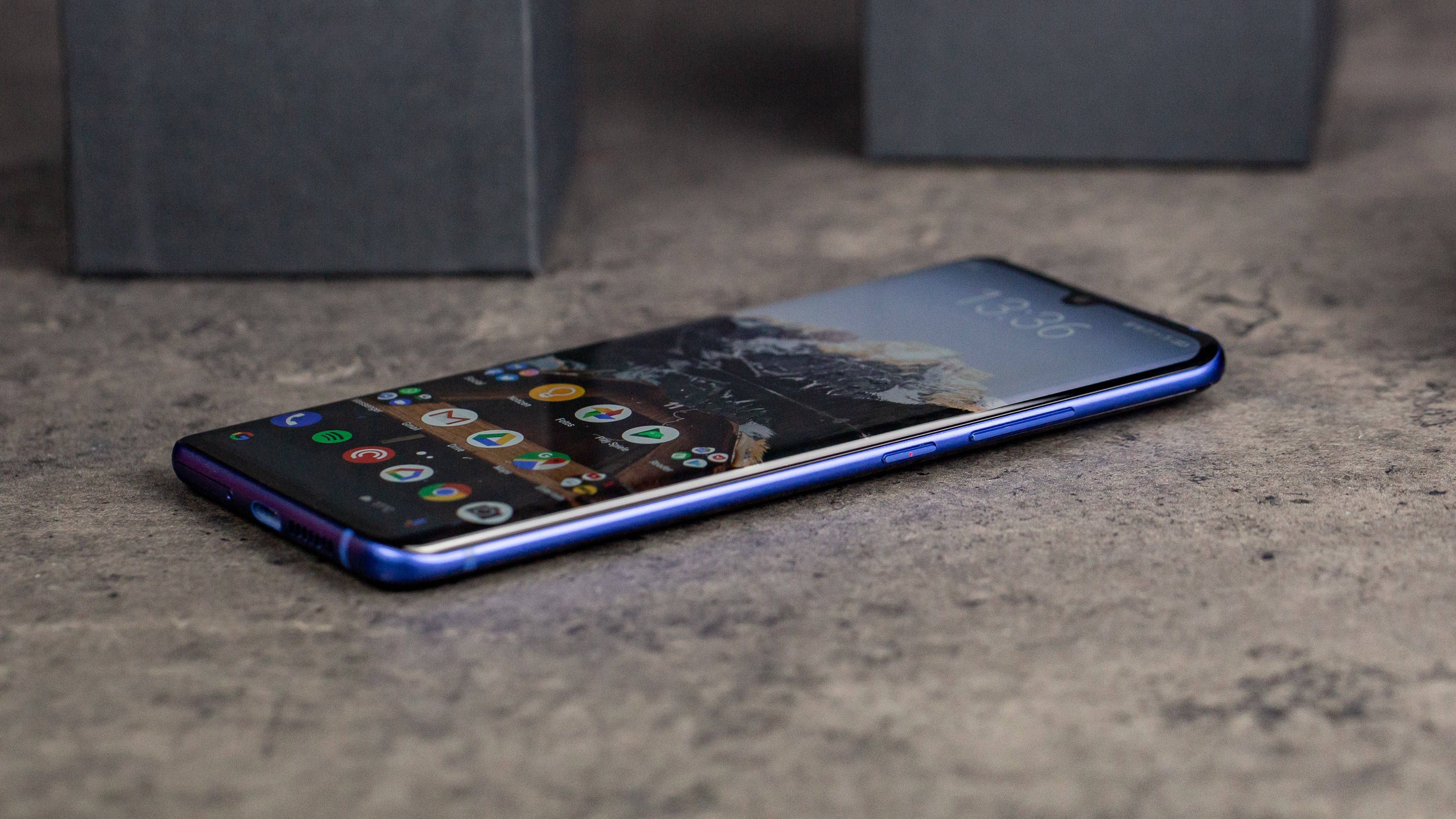 Kleiner Wackeldackel